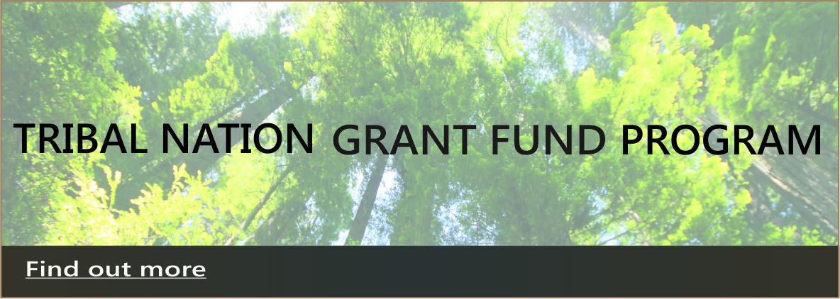 Tribal Nation Grant Fund Program 